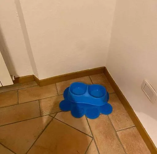 Appartamento Bellavista *